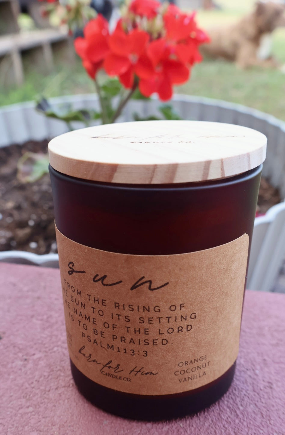 SUN Psalm 113:3